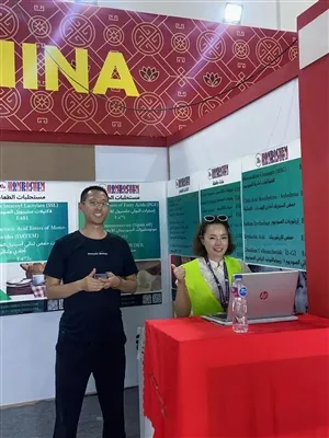 2025 Rapport d'exposition de l'Égypte FI Africa